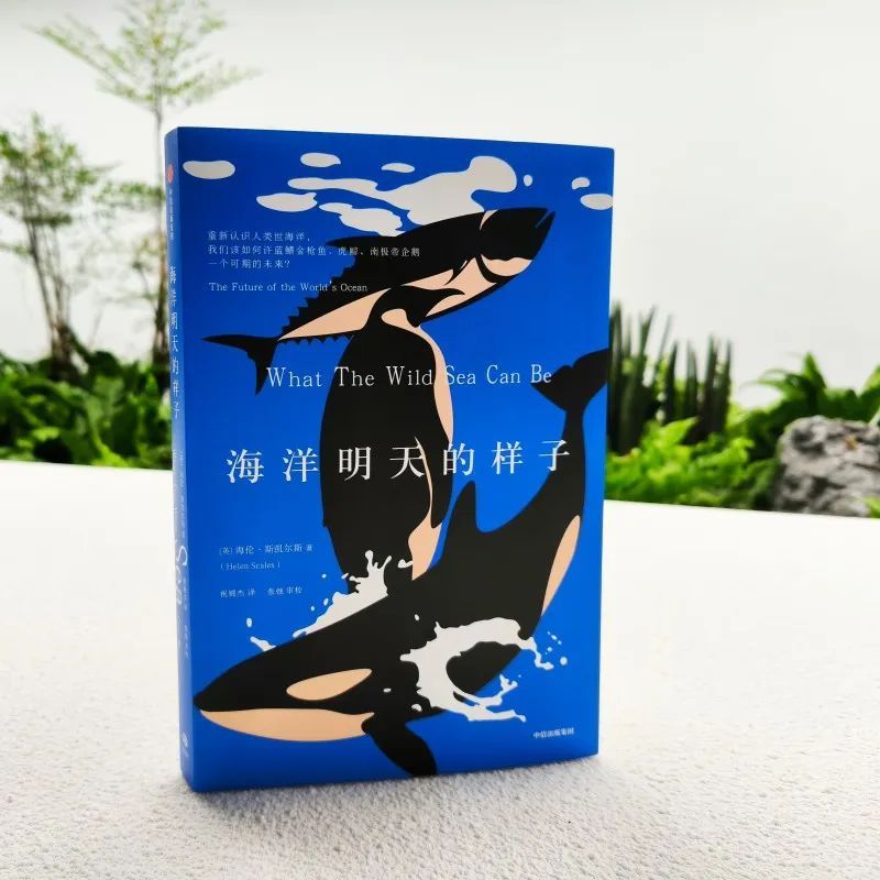 蝌学荐书 | 人类如何毁掉一片大海？