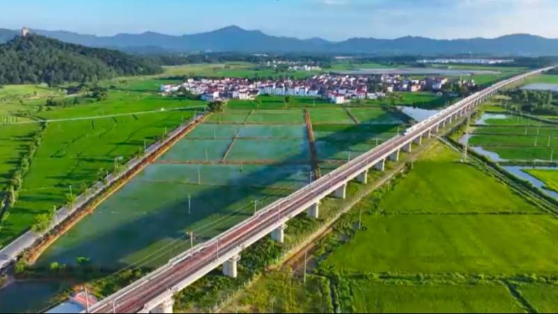 鄱阳湖夏候鸟翔集 与动车共舞绘就生态新画卷