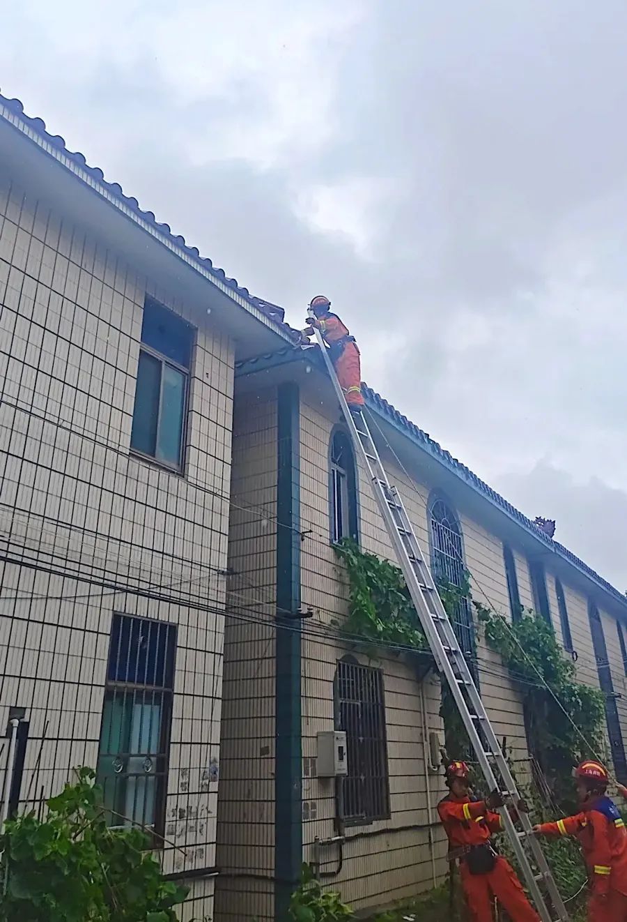 上海列车大面积晚点、停运！G40沪陕高速长江大桥封闭！警惕，上海今夜将风雨再起