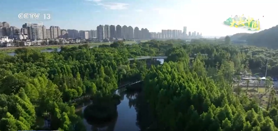 荒山变“金山”、山水“酿”诗意 镜头里的夏日中国气象万千