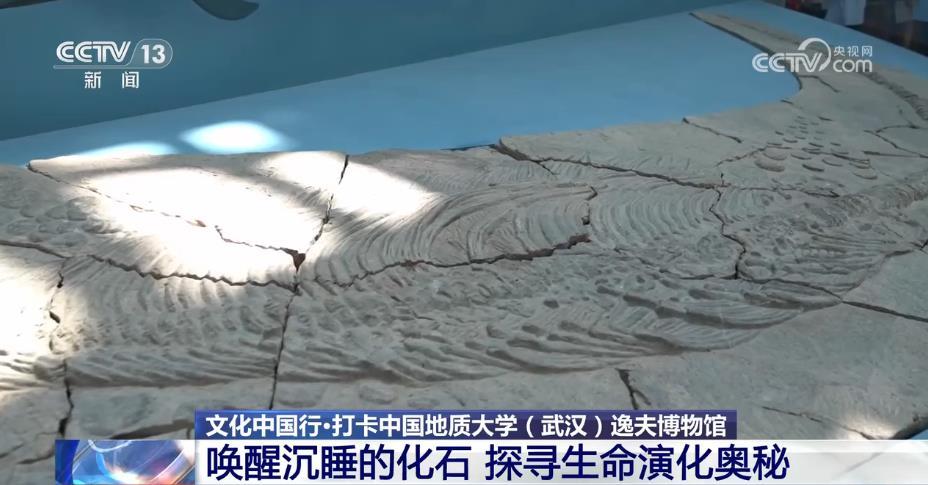 探寻地质奥秘，开启科学之门，你准备好了吗？