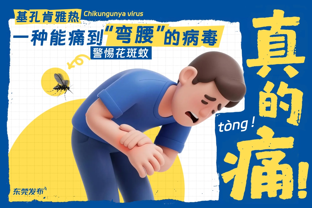 关节剧痛+全身起疹子！警惕这个夏天最毒的“热”