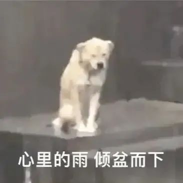 “竹节草”登陆上海时间公布，暴雨预警已升级！上海地铁重要通知：运营调整→