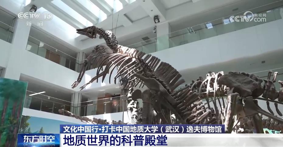 探寻地质奥秘，开启科学之门，你准备好了吗？