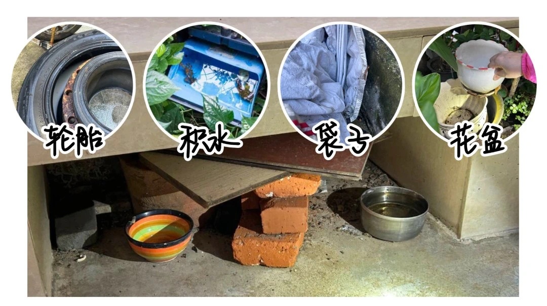 关节剧痛+全身起疹子！警惕这个夏天最毒的“热”