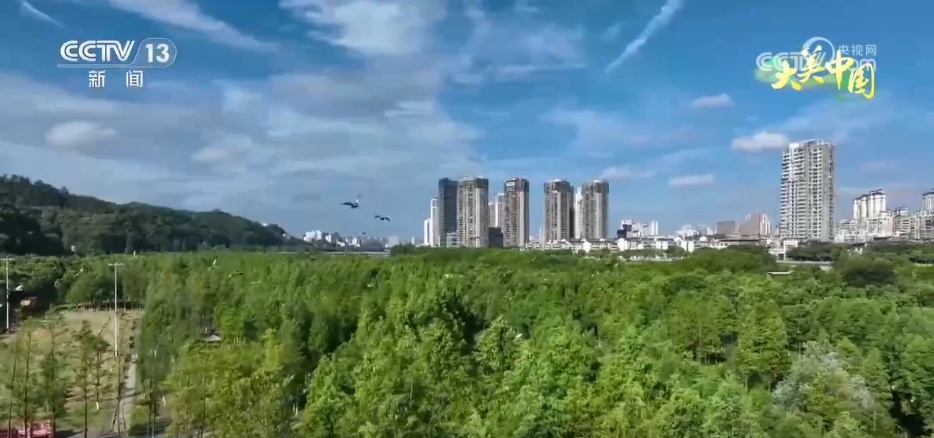 荒山变“金山”、山水“酿”诗意 镜头里的夏日中国气象万千