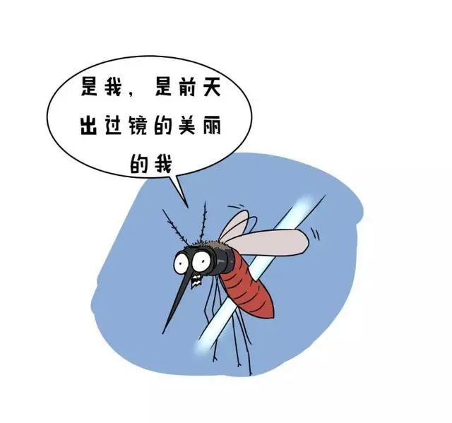 如何让夏天“默默无蚊”的度过