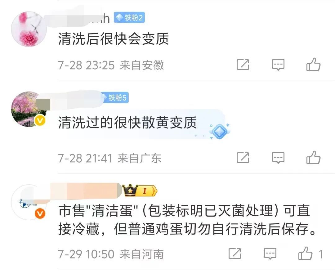 一家三口吃鸡蛋中毒！买回来的鸡蛋千万别这样做！