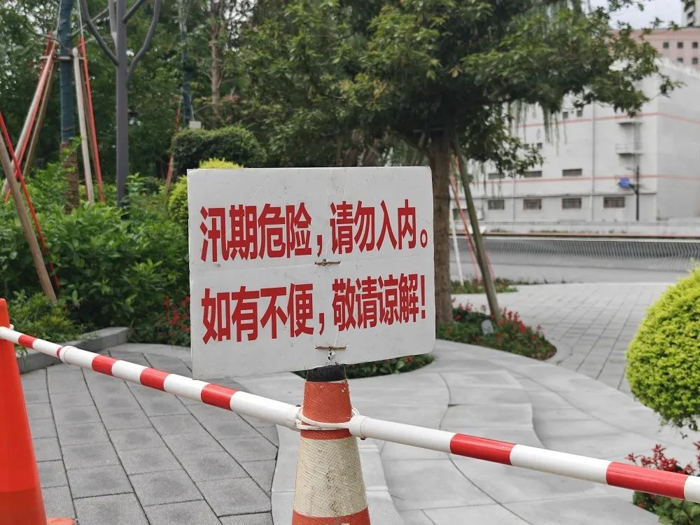 “竹节草”傍晚前后登陆上海！地铁发布运营信息，暴雨预警更新为橙色