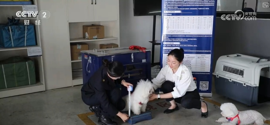 推着自行车上火车、晚上睡觉白天游玩 特色服务让山水之约有了全新打开方式 推着自行车上火车、晚上睡觉白天游玩 特色服务让山水之约有了全新打开方式