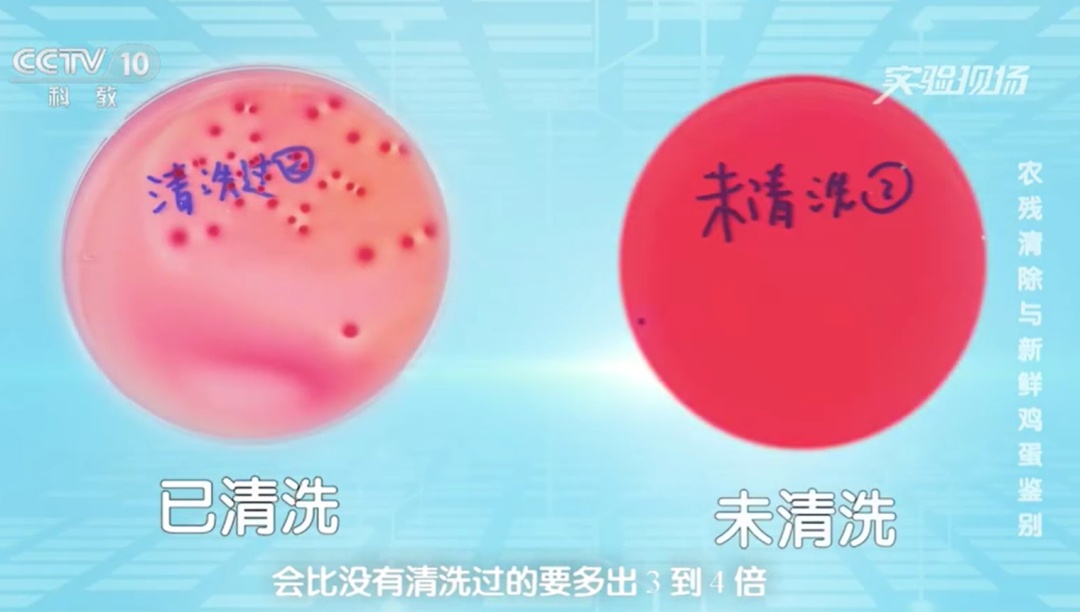 一家三口吃鸡蛋中毒！买回来的鸡蛋千万别这样做！