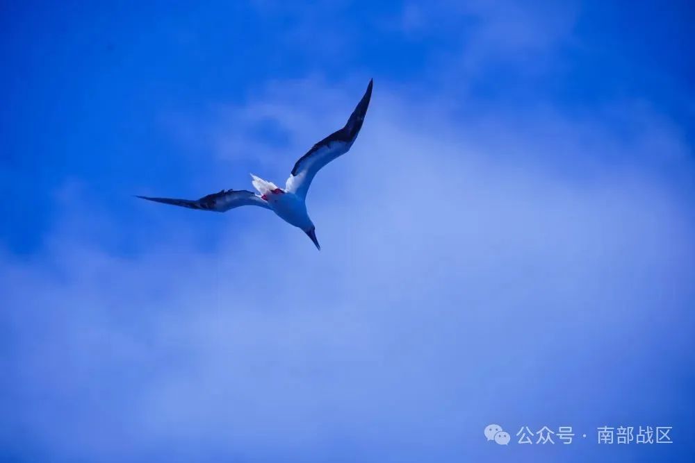 中国海警的守护下，黄岩岛的夏日