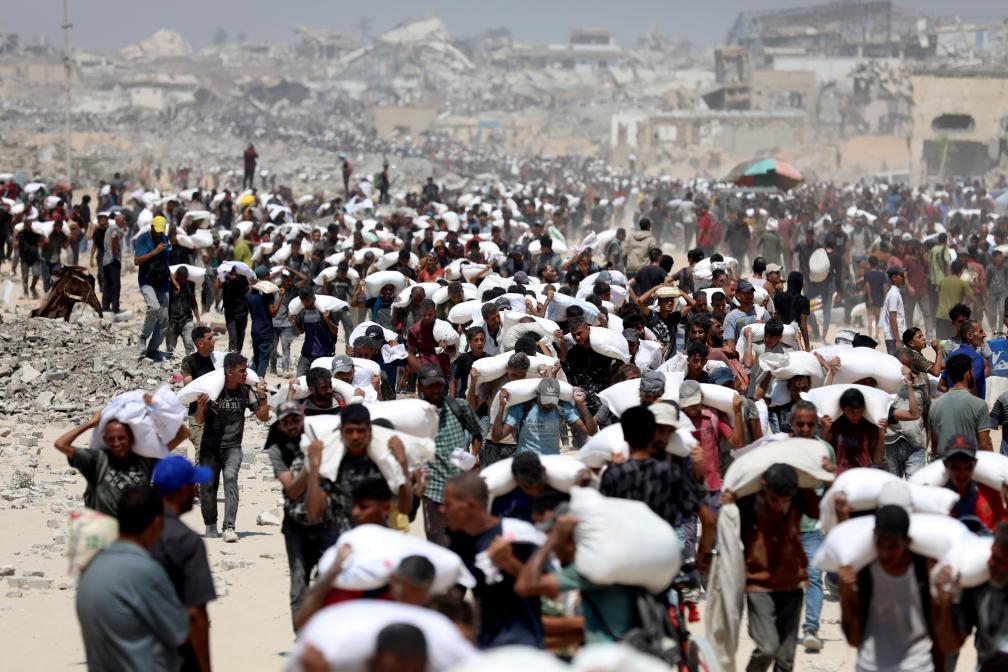 加沙饥荒警报拉响！英荷表态