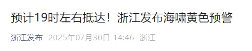海啸逼近！浙江发布海啸黄色预警！预计19时左右抵达
