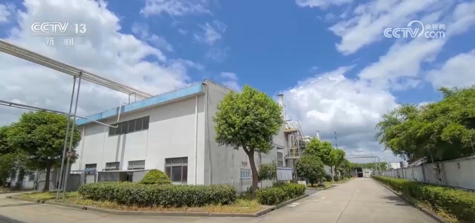 多部门积极应对台风“竹节草” 全力投入防台防汛工作