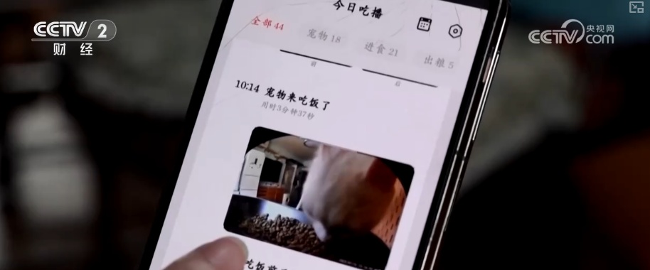 突破8114亿元！科技重塑“它经济” “毛孩子”情感消费撬动经济新支点