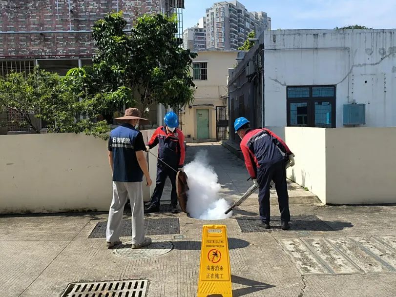 深圳开展防蚊灭蚊“集中消杀”行动：上班/下班1分钟清积水