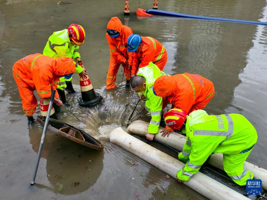 积极应对台风“竹节草”