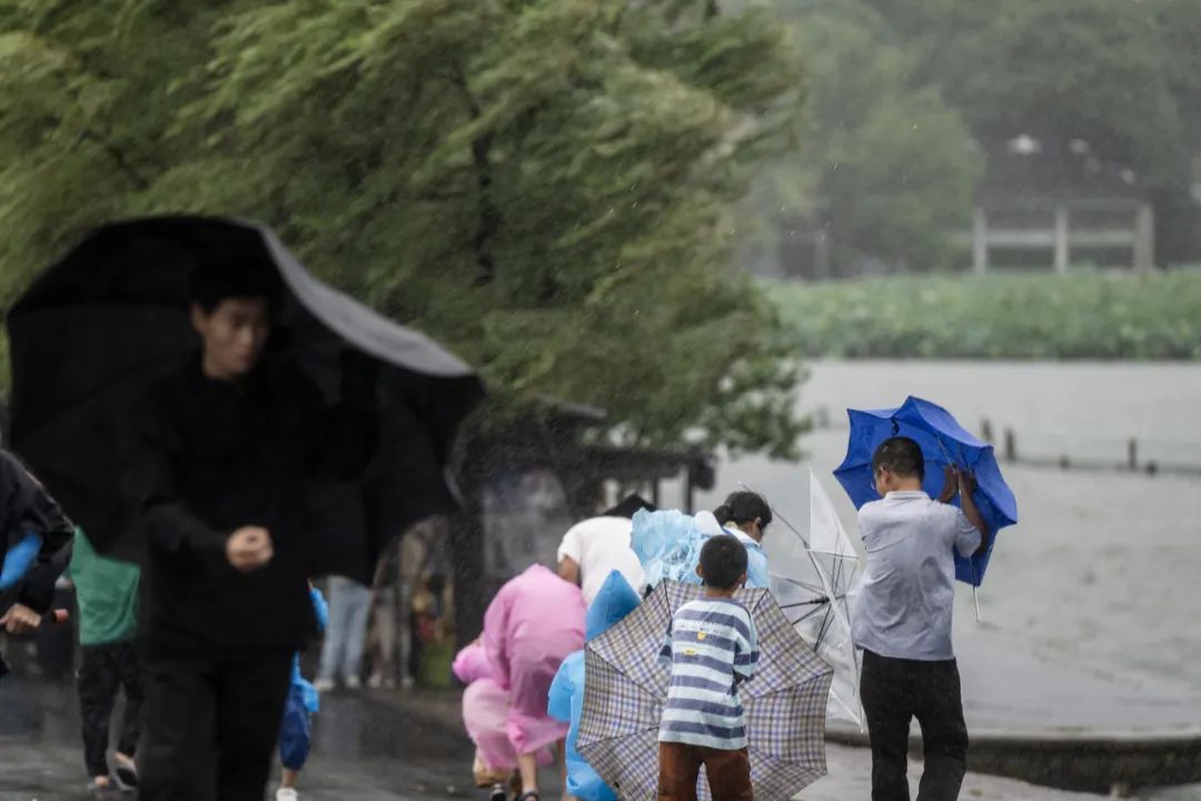 台风“竹节草”北上，风雨影响持续！浙江仍有大到暴雨
