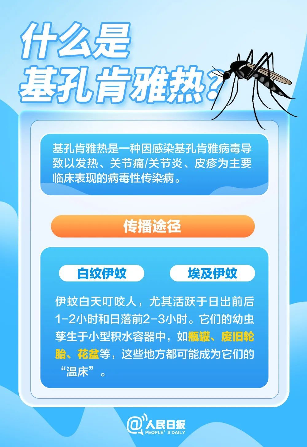 基孔肯雅热的11个关键问题，一次说清→
