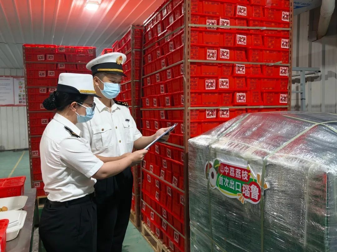 跨越18000公里，广东“荔枝皇后”首次出口瑙鲁