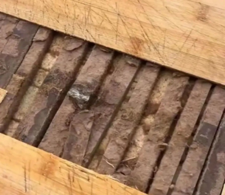 女子肚里发现大量霉菌！这习惯很多家庭都有，严重的1毫克就可能致癌……