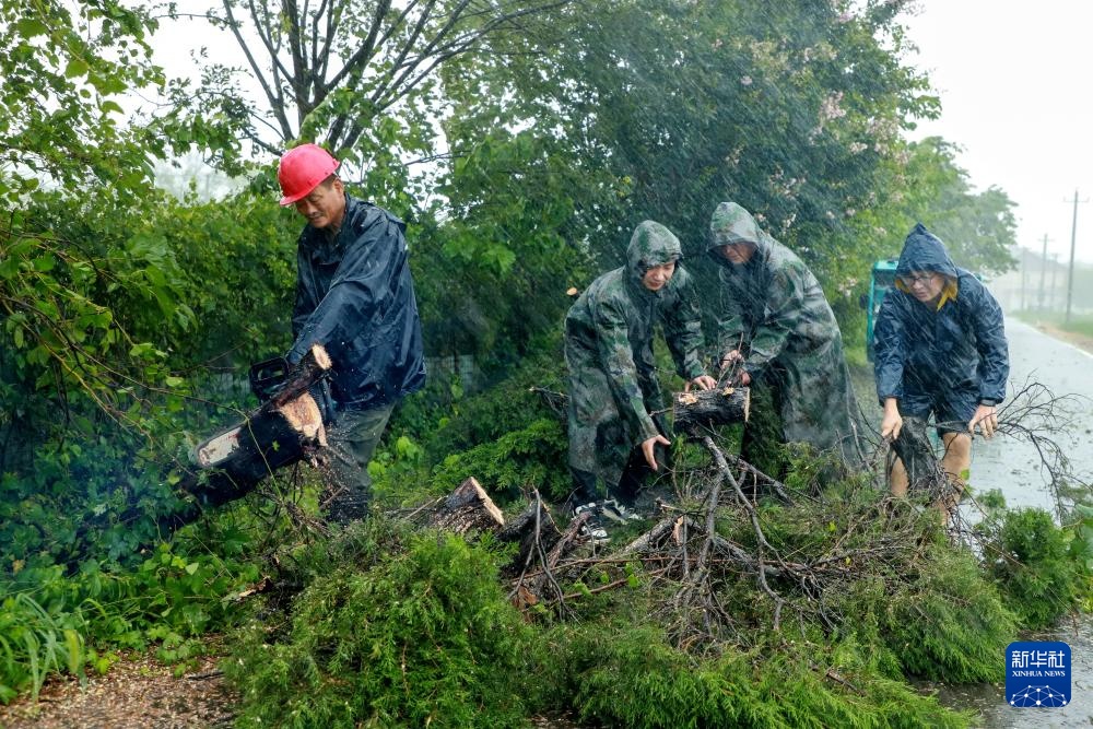 积极应对台风“竹节草”