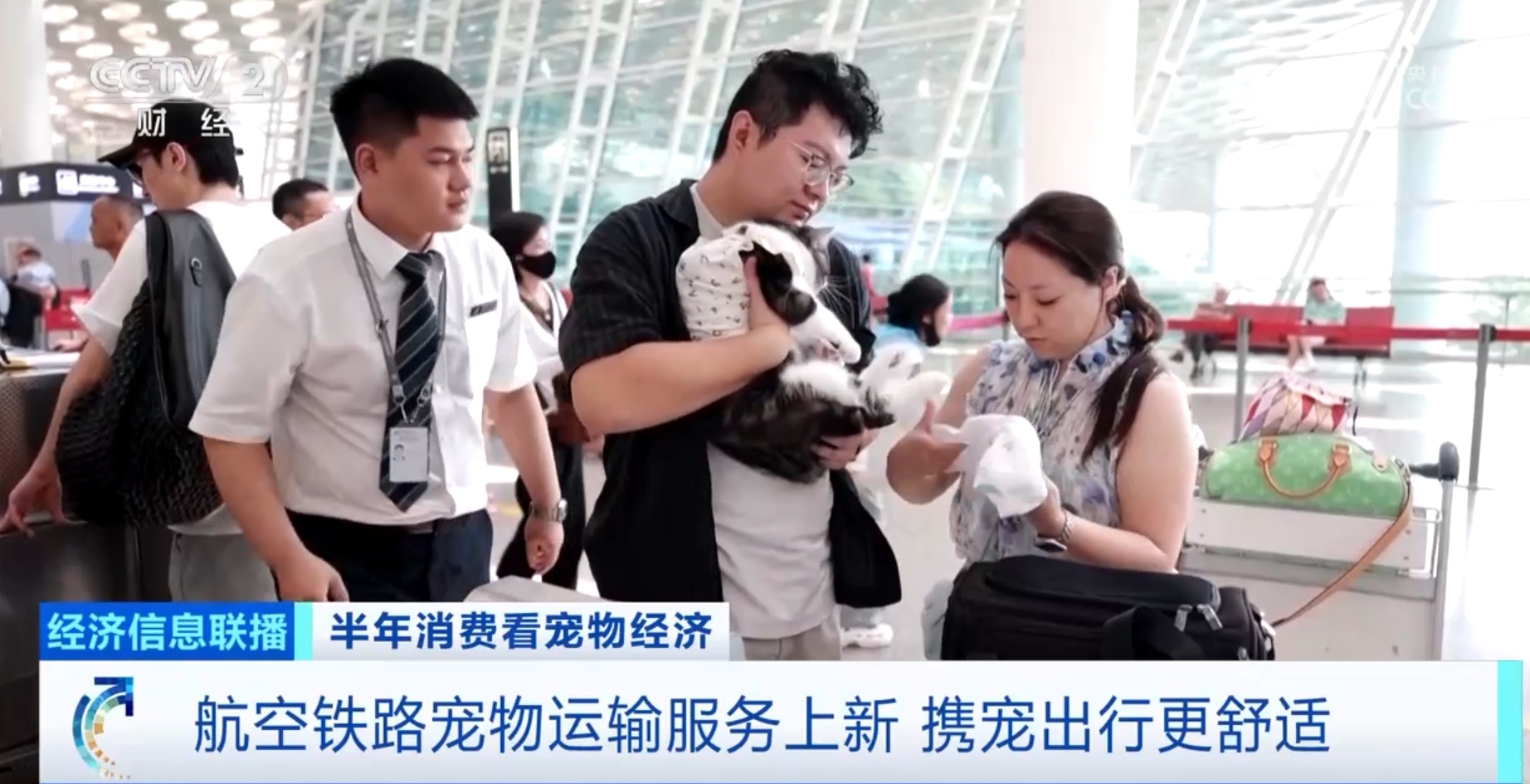 航空铁路宠物运输服务上新 携宠出行还有这些新体验