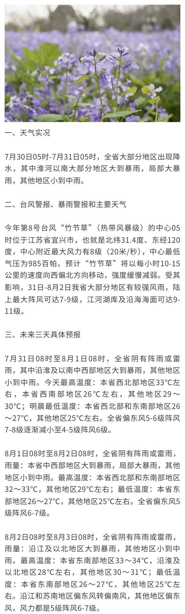 台风警报、暴雨警报！江苏这些区域提高警惕！