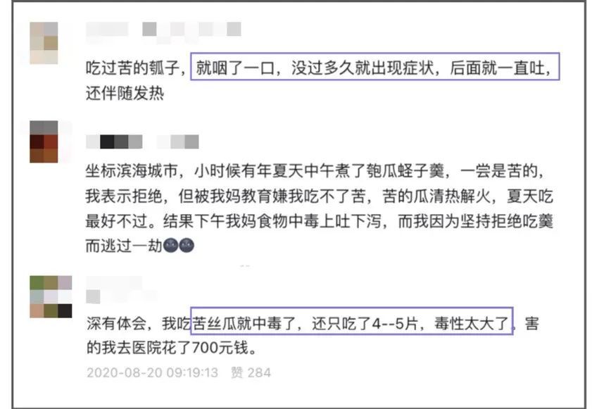 毒性堪比砒霜！一种正大量上市的瓜，一旦发苦赶紧吐掉