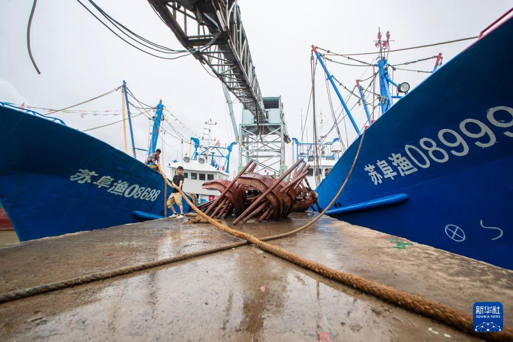 积极应对台风“竹节草”