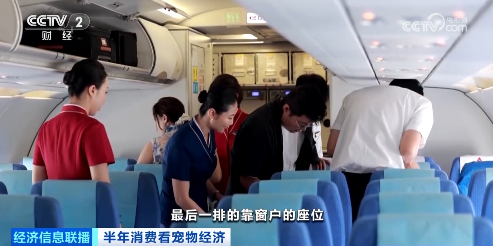 航空铁路宠物运输服务上新 携宠出行还有这些新体验