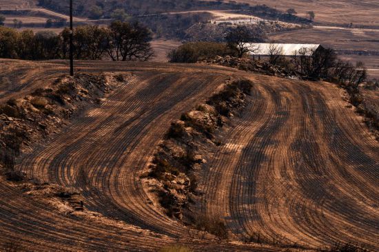 西班牙葡萄牙受山火炙烤　大风高温更添风险