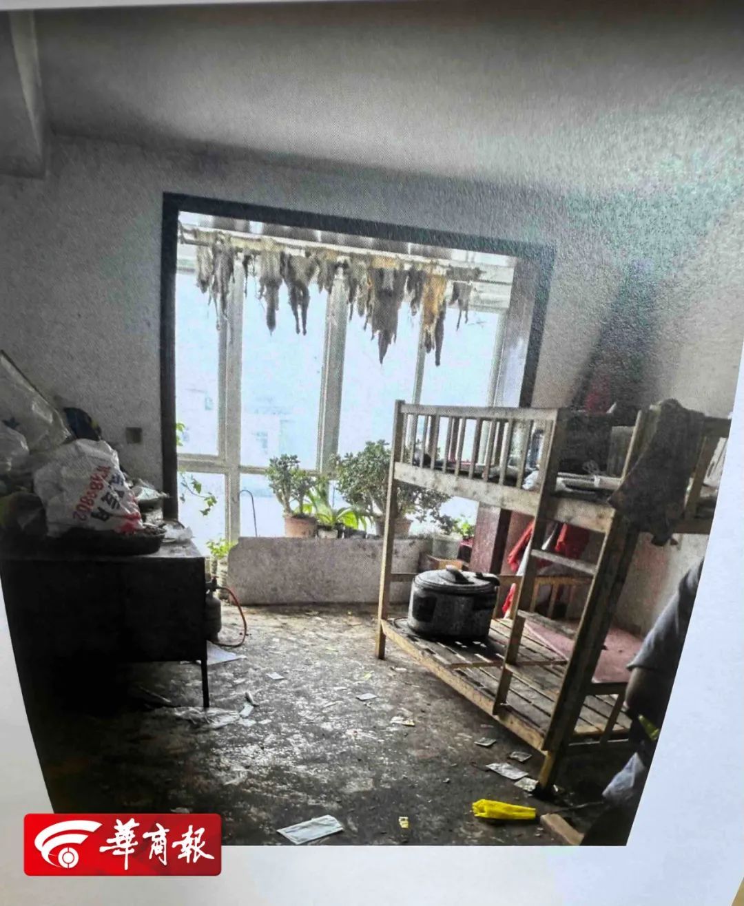 污秽遍地,阳台挂满狗皮……情侣租户强占房子一年多,“门打开后正常人都受不了” 污秽遍地,阳台挂满狗皮……情侣租户强占房子一年多,“门打开后正常人都受不了”