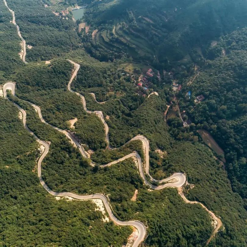 山风、蝉鸣、古树浓荫……郑州1h直达伏羲山脚下的小众秘境！