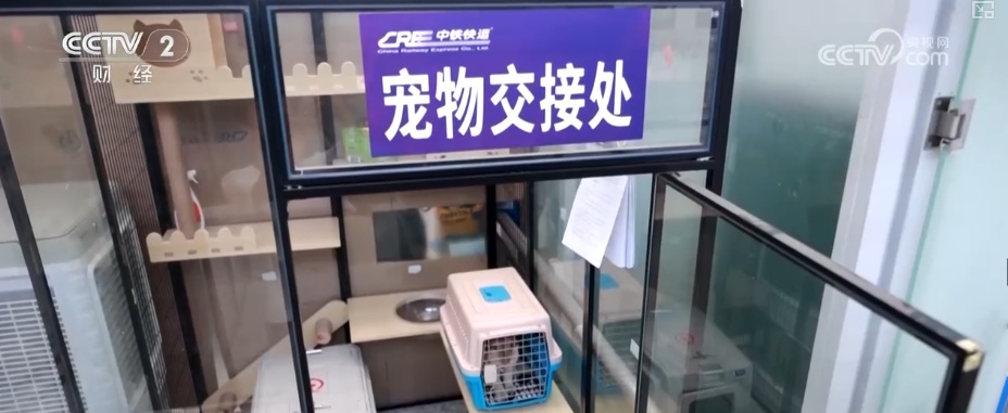 突破8114亿元！科技重塑“它经济” “毛孩子”情感消费撬动经济新支点