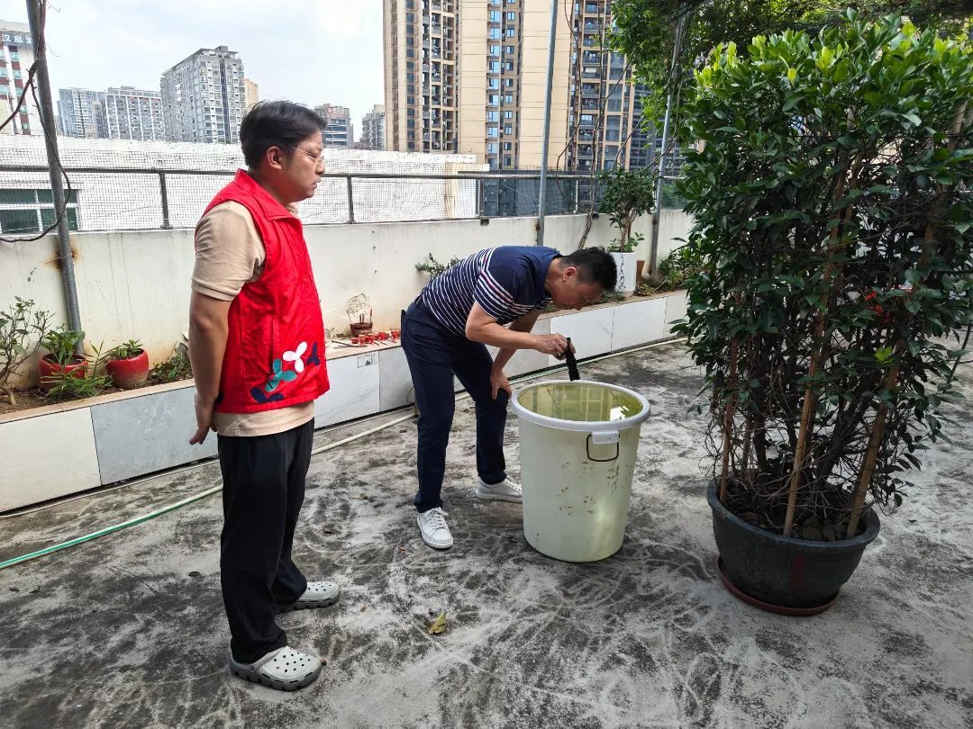 深圳开展防蚊灭蚊“集中消杀”行动：上班/下班1分钟清积水
