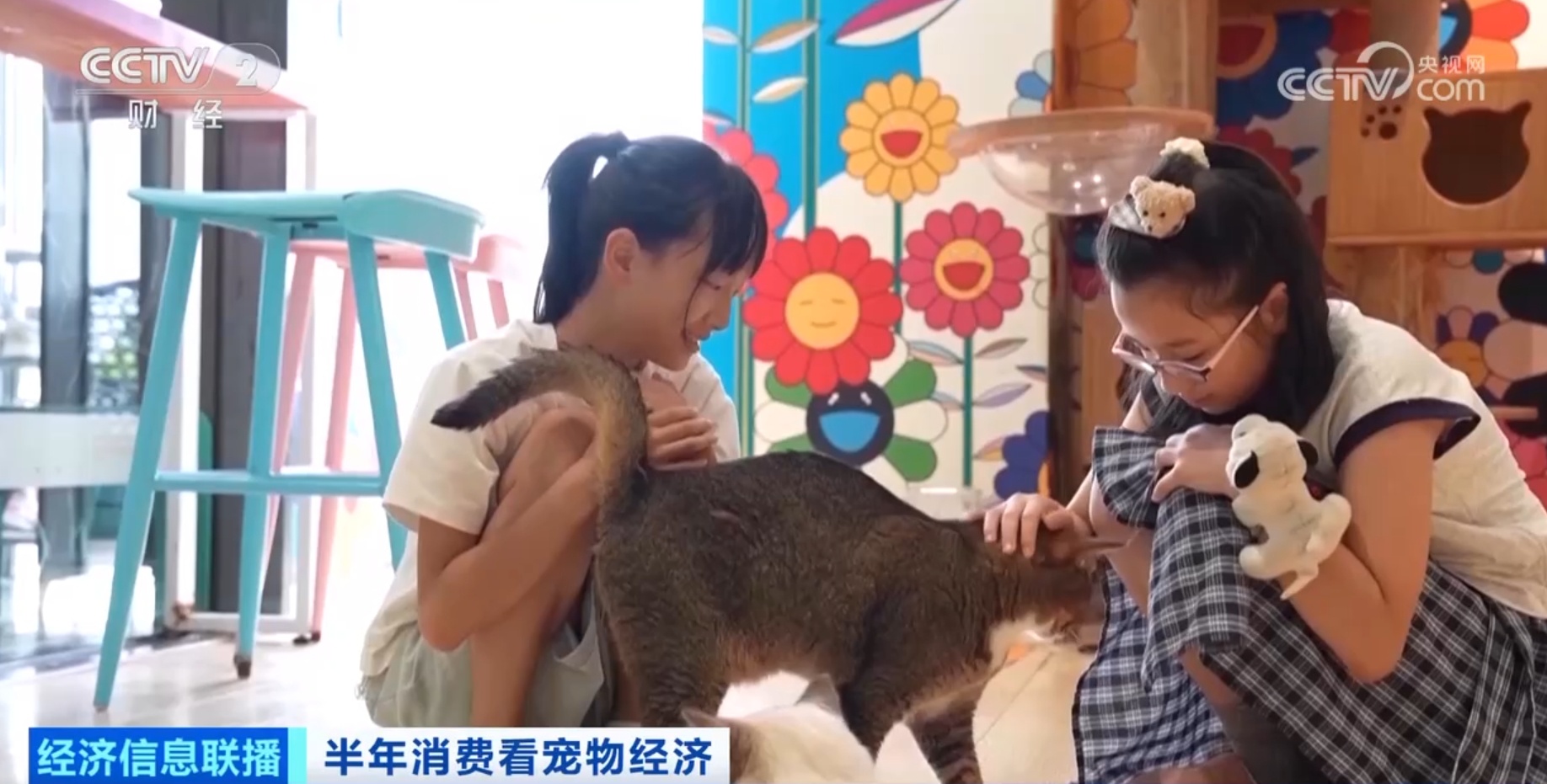 航空铁路宠物运输服务上新 携宠出行还有这些新体验