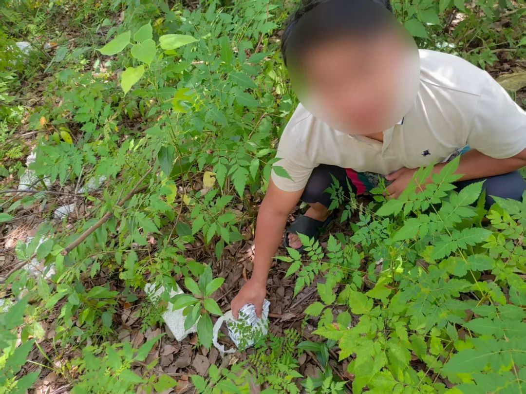 做贼心虚后,他上演“弃车保帅”...... 做贼心虚后,他上演“弃车保帅”......