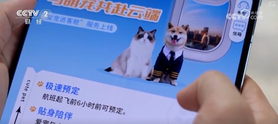 突破8114亿元！科技重塑“它经济” “毛孩子”情感消费撬动经济新支点
