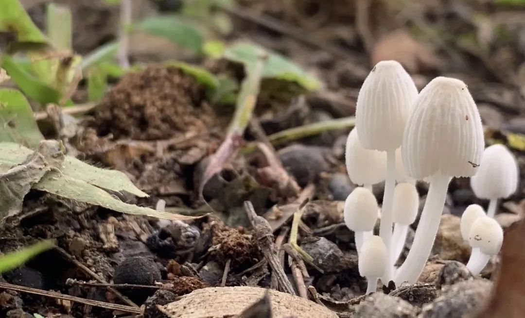 暴雨过后必看！这7类食物一口都别碰，提醒→