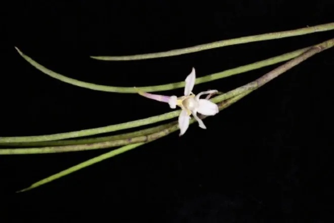 雅鲁藏布江,一座“气候博物馆”! 雅鲁藏布江,一座“气候博物馆”!