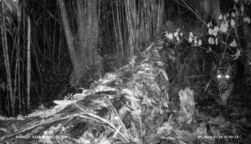 雅鲁藏布江,一座“气候博物馆”! 雅鲁藏布江,一座“气候博物馆”!