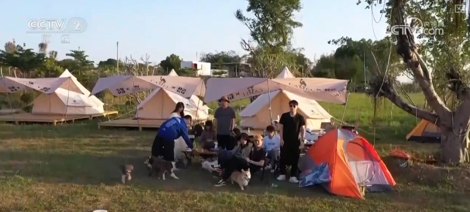 突破8114亿元！科技重塑“它经济” “毛孩子”情感消费撬动经济新支点