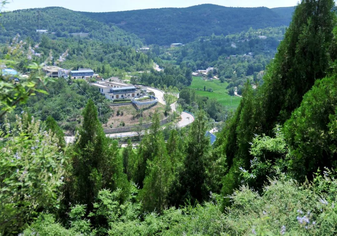 山风、蝉鸣、古树浓荫……郑州1h直达伏羲山脚下的小众秘境！