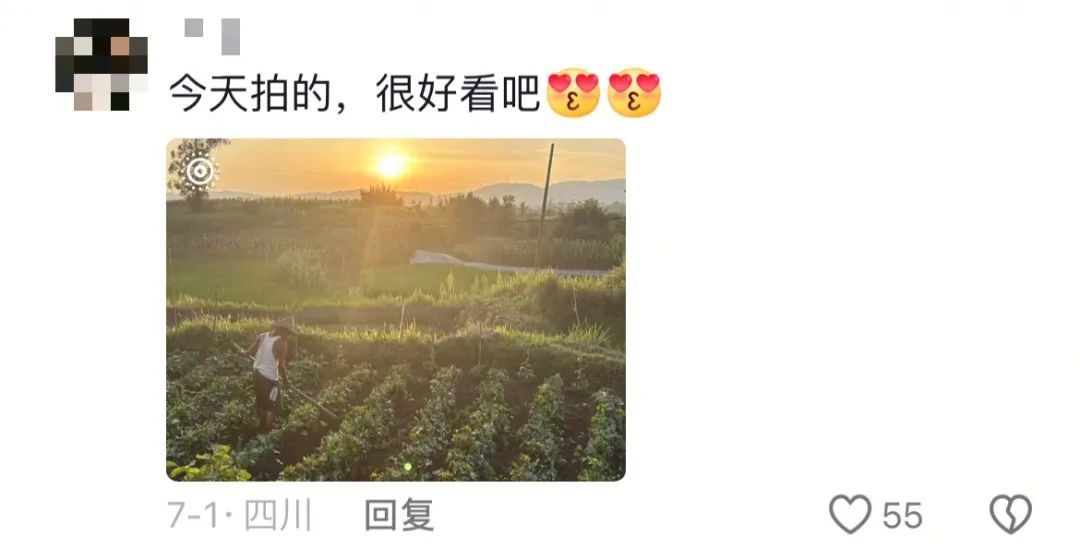 “建议频繁记录生活”上热搜！网友：后悔没早点开始