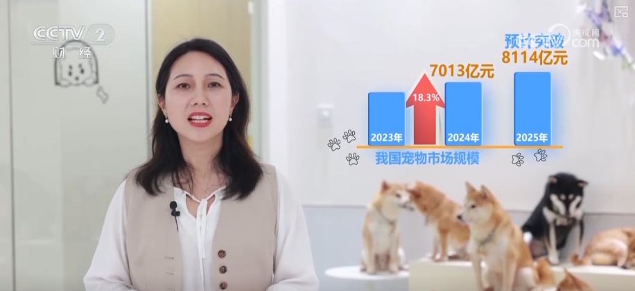 突破8114亿元！科技重塑“它经济” “毛孩子”情感消费撬动经济新支点