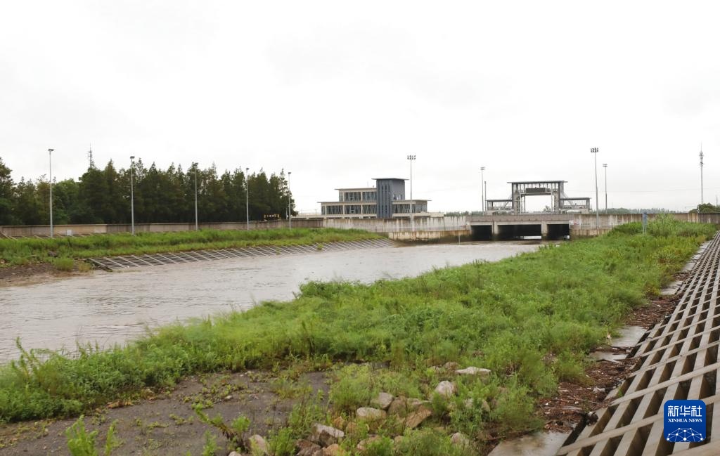 台风“竹节草”在上海登陆 台风“竹节草”在上海登陆