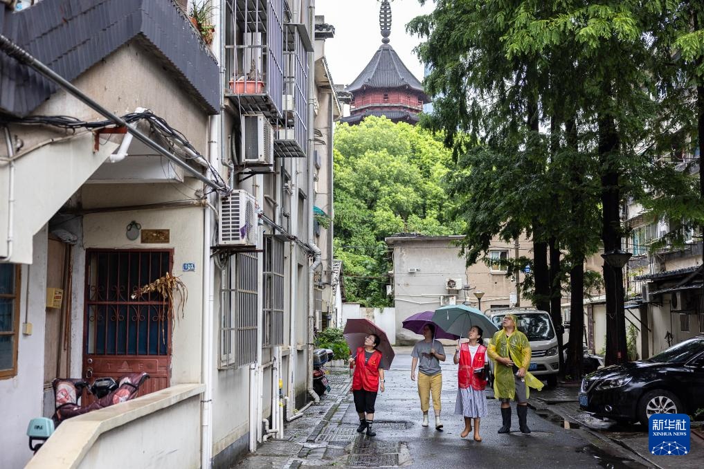 积极应对台风“竹节草”