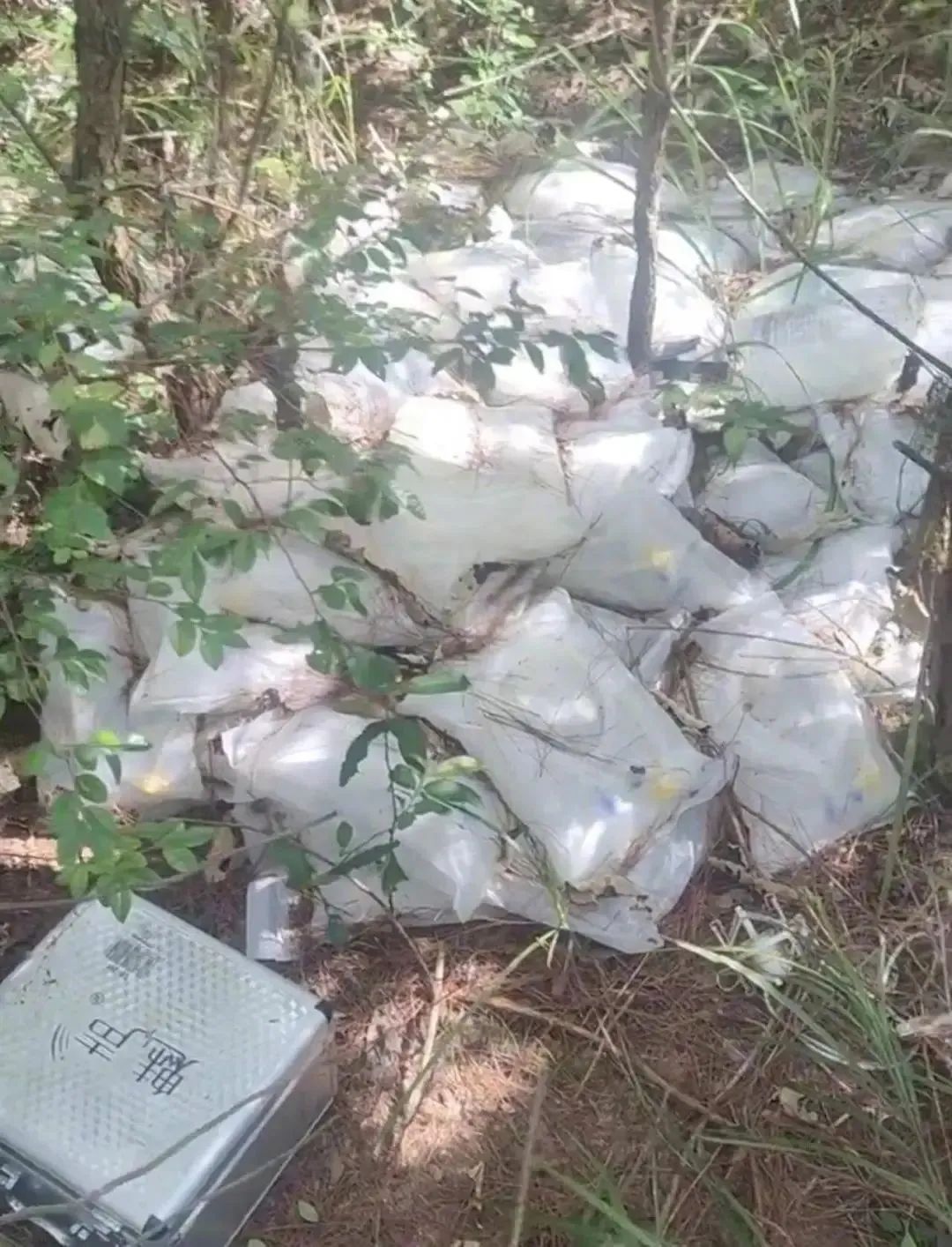 江西南城一树林发现丢弃药品！当地通报